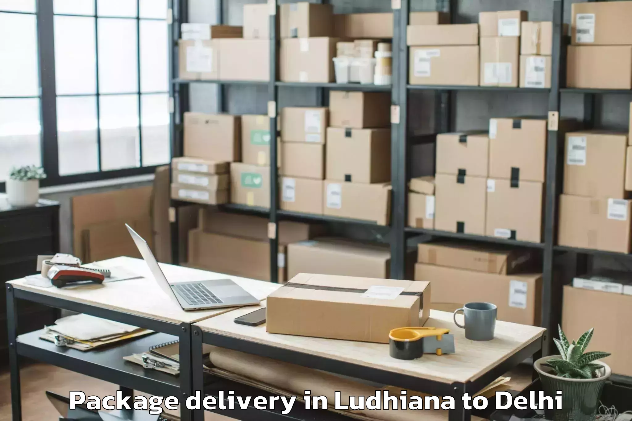 Reliable Ludhiana to Dt City Centre Mall Delhi Package Delivery